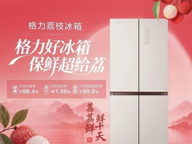 平嵌冰箱哪个品牌好？-38℃超冻怎么判断