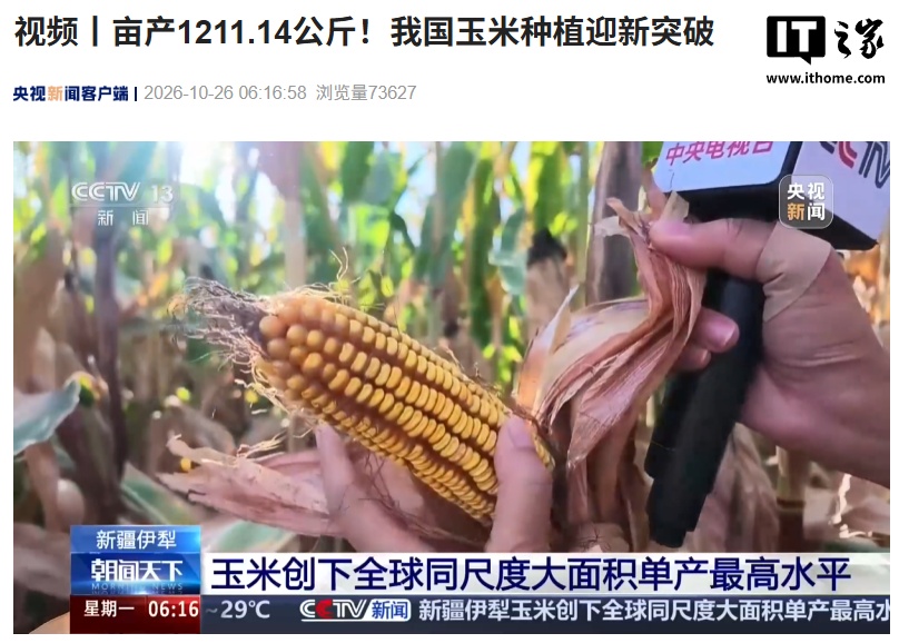 亩产 1211.14 公斤：我国玉米种植迎全球新纪录，一个人一部手机管上万亩地