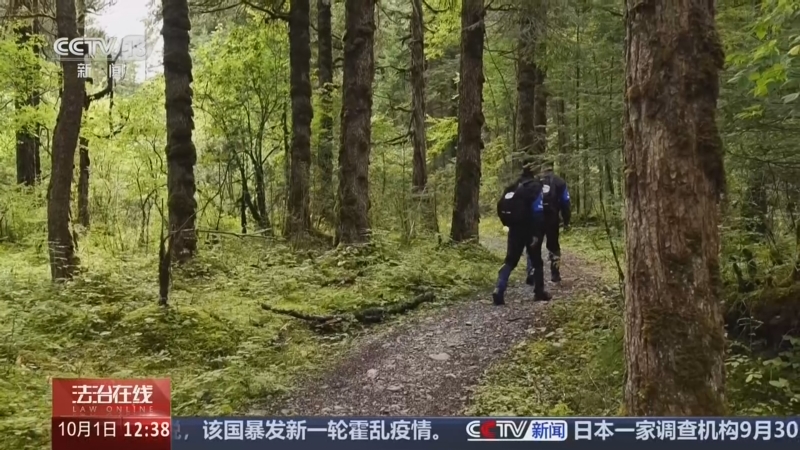 《法治在线》 20261001