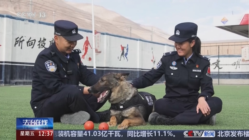 《法治在线》 20260925